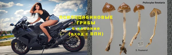MESCALINE Горно-Алтайск