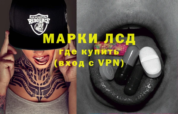 стаф Горняк