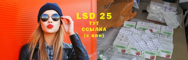 стаф Горняк