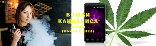 стаф Горняк