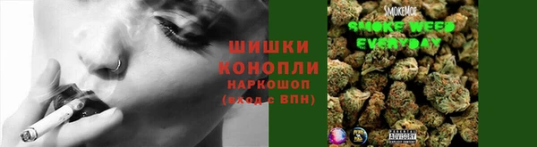 mdpv Горнозаводск