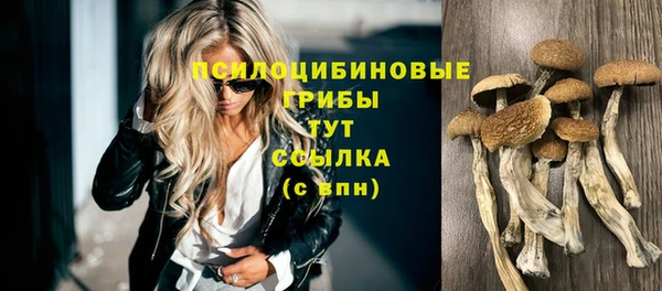 прущая мука Гусиноозёрск