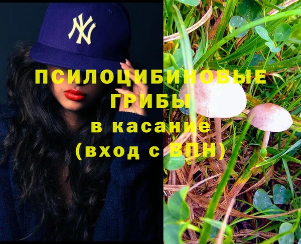стаф Горняк