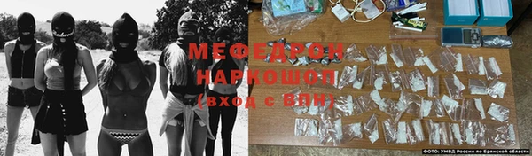 стаф Горняк